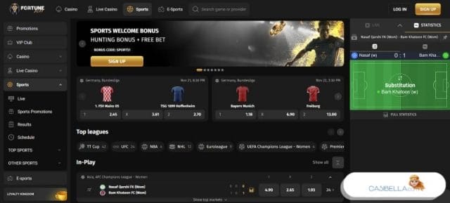 FortunePlay Screenshot